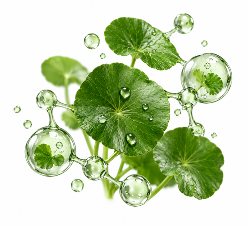 Centella asiática